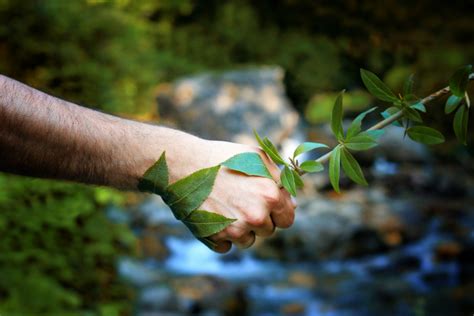 The Benefits Of Becoming An Environmentalist How You Can Help The