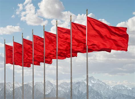 What is the red flag meme? Meaning explained | The US Sun