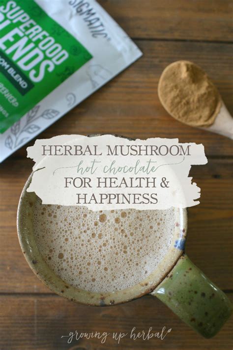 Herbal Mushroom Hot Chocolate For Health & Happiness