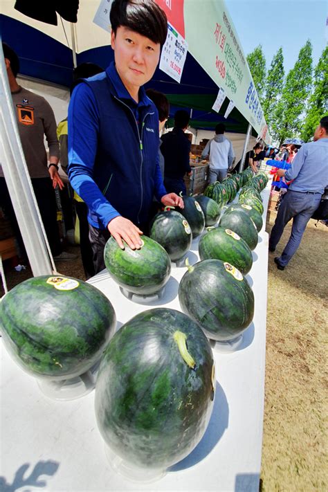 포토뉴스 다양한 수박 우리가 만들어요 ‘제1회 대한민국 수박축제 And 제26회 함안수박축제 뉴스테이지