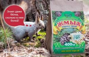 Жмых кедрового ореха: применение и полезные свойства, что полезного ...