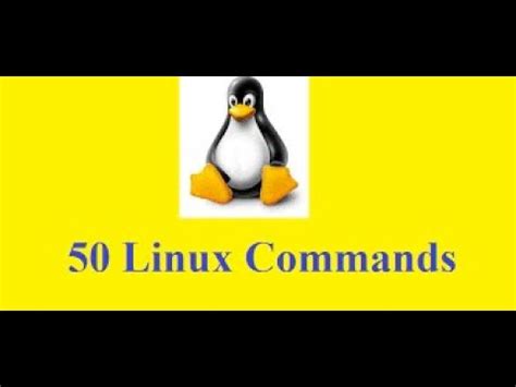 The Popular Linux Terminal Commands For Beginners Youtube