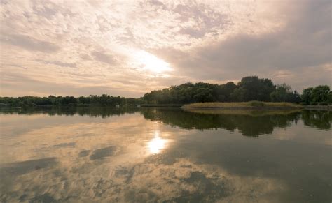 Banco De Imagens Panorama árvore Agua Natureza Grama Pântano