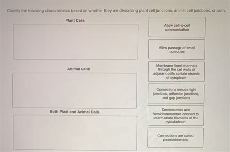 Solved Classify the following characteristics based on | Chegg.com