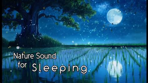 Relaxing Sleep Music And Night Nature Sounds Soft Crickets Fall Asleep Fast 03 Youtube