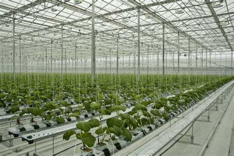 Мойка теплицы из поликарбоната – Теплицы из поликарбоната: видео ...