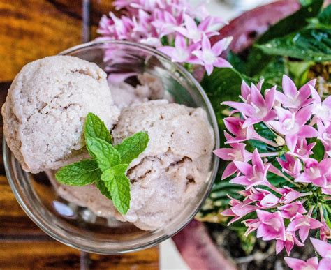 Banana Ice Cream Vitamix Blender Ice Cream Raw Blend