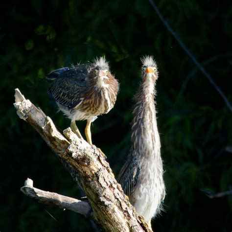 Woodbury, MN | Official Website