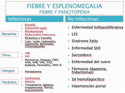 Caso 89 Esplenomegalia Guía Terapéutica Antibiótica