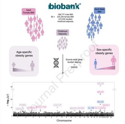Discovering Age And Sex Specific Obesity Genes In The Genome