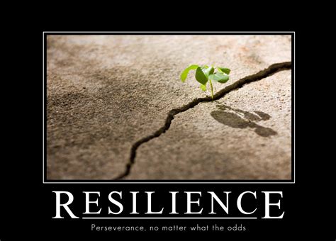 Quotes On Resilience By Famous People. QuotesGram