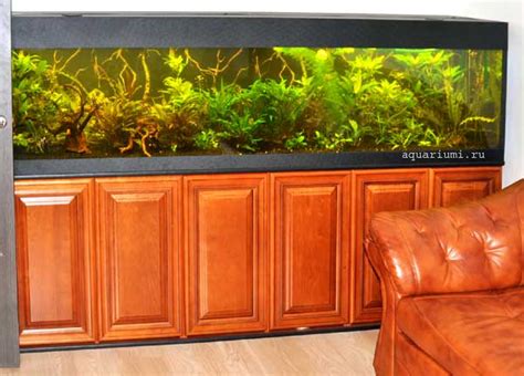 аквариум - во всю стену.