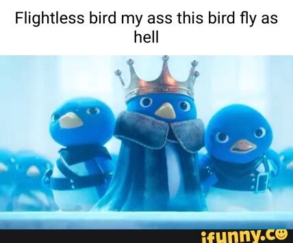 Flightless Bird My Ass This Bird Fly As Hell Ifunny