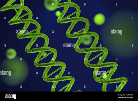 D Rendering Of Dna Deoxyribonucleic Acid Structure D Illustration