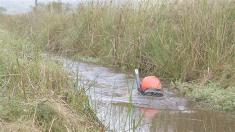 What is bog snorkelling? | CNN