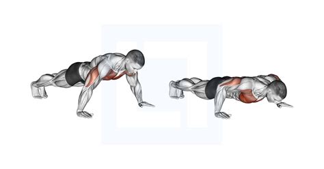 Wide Hand Push Up Guide Benefits And Form