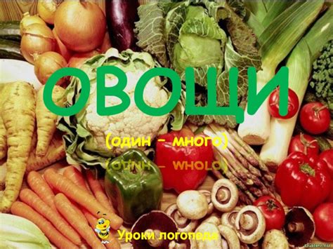 Овощи (один - много) презентация, доклад