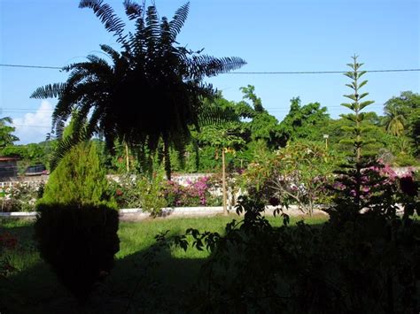 Faça Um Acróstico Com A Expressão Planeta Terra - Faça Um Acróstico Com A Expressão Planeta Terra - ICEBRAIN