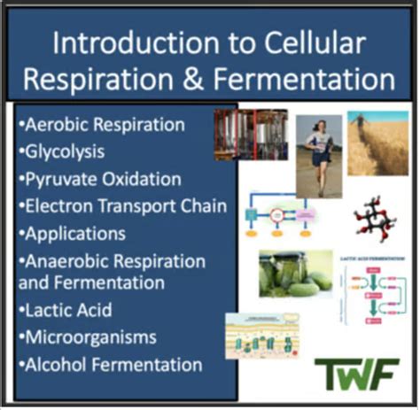 Introduction To Cellular Respiration Fermentation Biology Lesson By