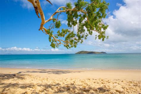 Great Keppel Island Day Trip With Lunch GetYourGuide