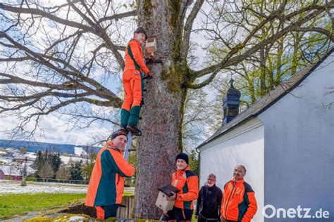 Auszubildende des Forstbetriebs Fichtelberg bauen Nistkästen für