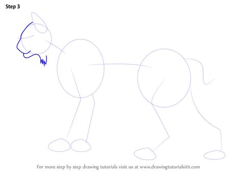 Learn How To Draw A Bobcat Wild Animals Step By Step Drawing Tutorials