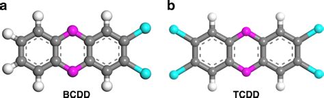 Two Representative Pcdd Molecules A 23 Dichlorodibenzo P Dioxin