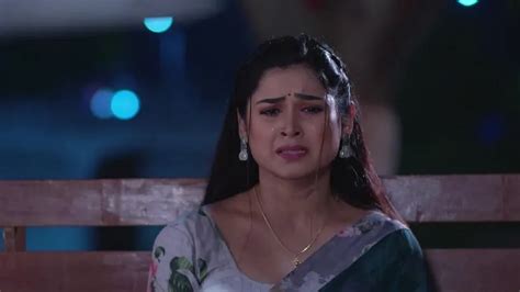 Watch Shree Tv Serial 6th May 2024 Full Episode 98 Online On Zee5