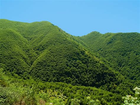 Parco Nazionale Del Cilento Vallo Di Diano E Alburni Itinerari Tra