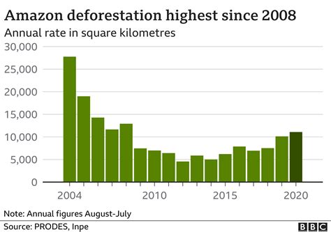 Brazil's Amazon: Deforestation 'surges to 12-year high' - BBC News