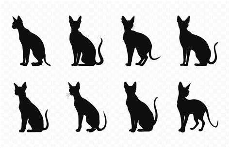 Peterbald Cat Silhouettes Vector Bundle Black Cats Silhouette
