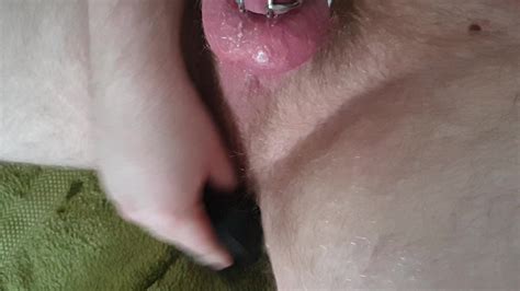 Dildo With Chastity Cage Thisvid