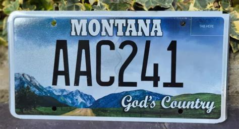 Plaque D Immatriculation Montana Aac Usa Us License Plate God S