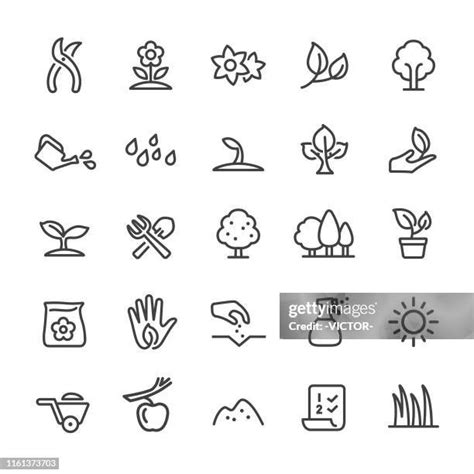1297 Flower Garden Outline Stock Photos High Res Pictures And Images