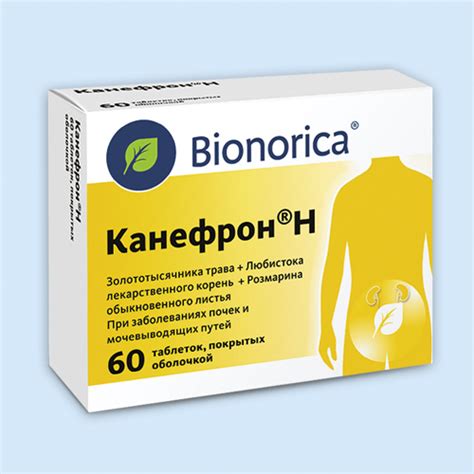 Фитопрепарат, применяемый при заболеваниях почек и мочевыводящих путей ...