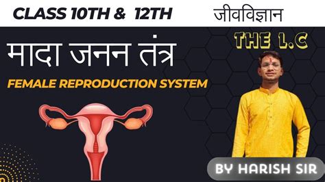 मादा जनन तंत्रfemale Reproductive Systems Antonyms Hindiclass 10th