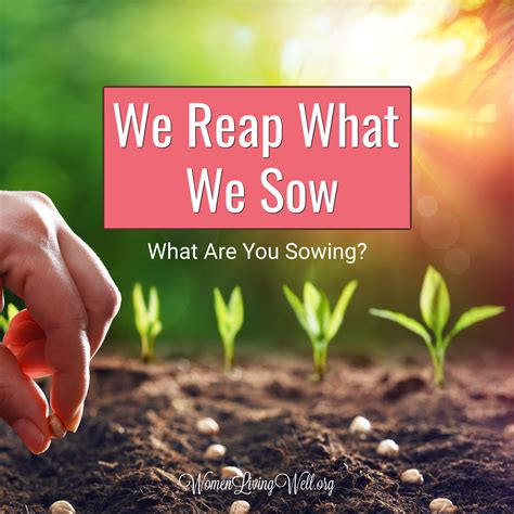 Daily Leadership Thought 155 We Do Reap What We Sow Capacity