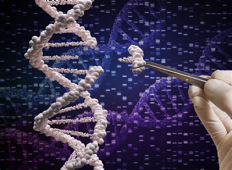 Death-delaying technology could push human life expectancy beyond 100