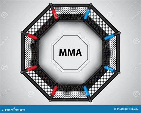 Ufc Octagon Size