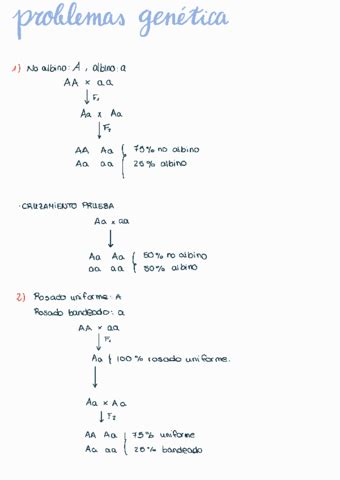 Problemas Genetica Pdf