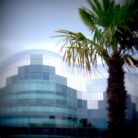 Nude Rider Jeff Grant Song Lyrics Music Videos Concerts