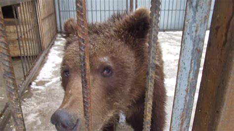 Ася и Малек - YouTube