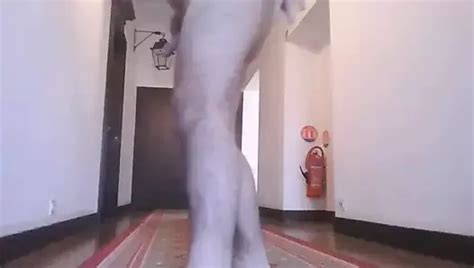 Sur Ordre De Maitresse Tara Solo Man Porn C Xhamster Xhamster