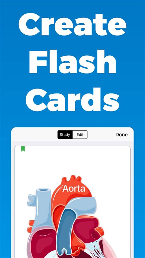 Flash Cards Go Flashcards For Iphone Download