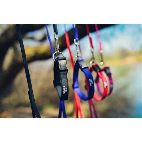Julius K9 Collar |K9 Color & Gray Collar | Products | Petshop Direct