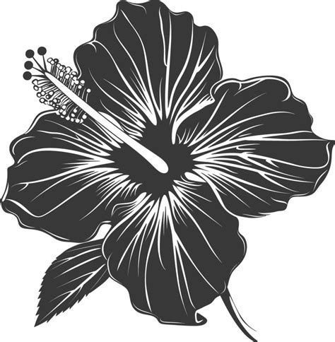 Ai Generated Silhouette Hibiscus Flower Black Color Only 42376749