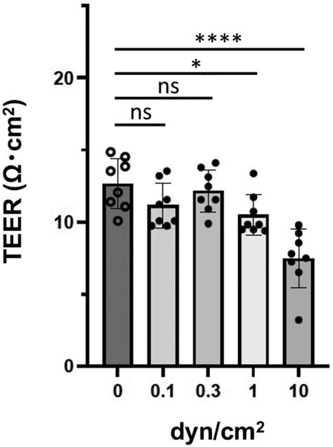 Teer Measurement Of Hbmecci18 Cells Cultured Under Flow Conditions