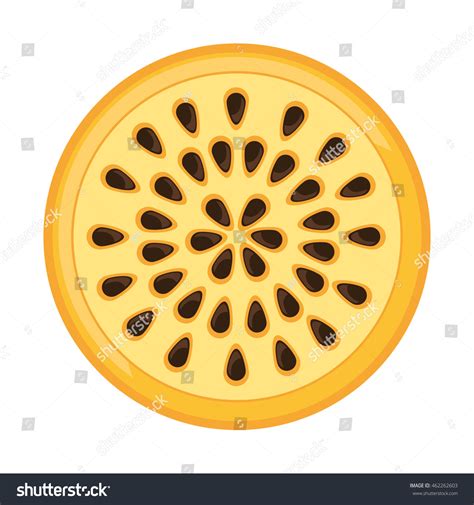 Passionfruit Fresh Fruit Icon Graphic Isolated Stock Vector Royalty