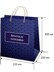 Пакет бумажный с логотипом А4 от 100 штук | Типография Визитка.ру