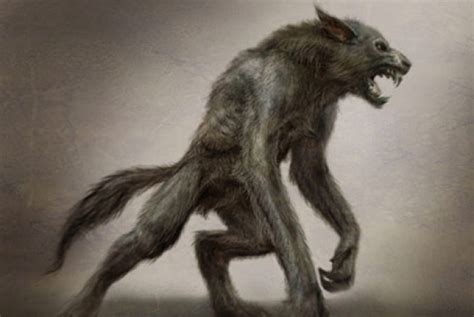 Werewolf Vs. Lycanthrope - HubPages